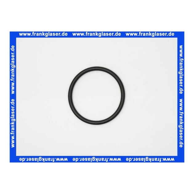 Voith – O-Ring, B-65X5-N