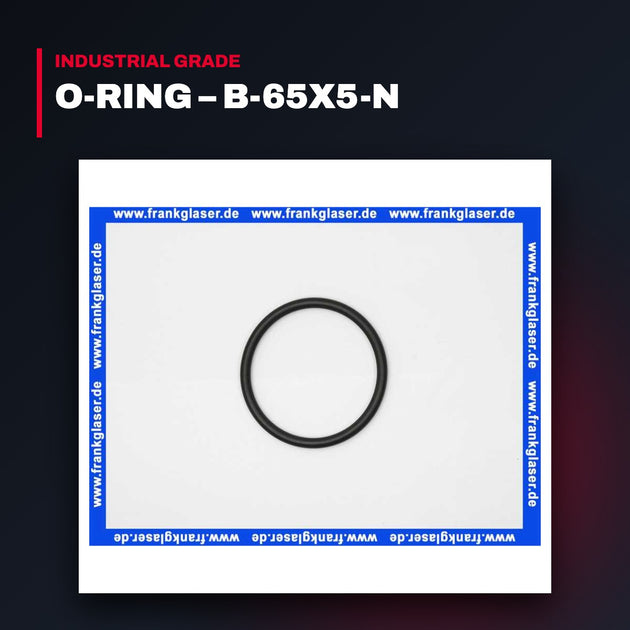 Voith – O-Ring, B-65X5-N