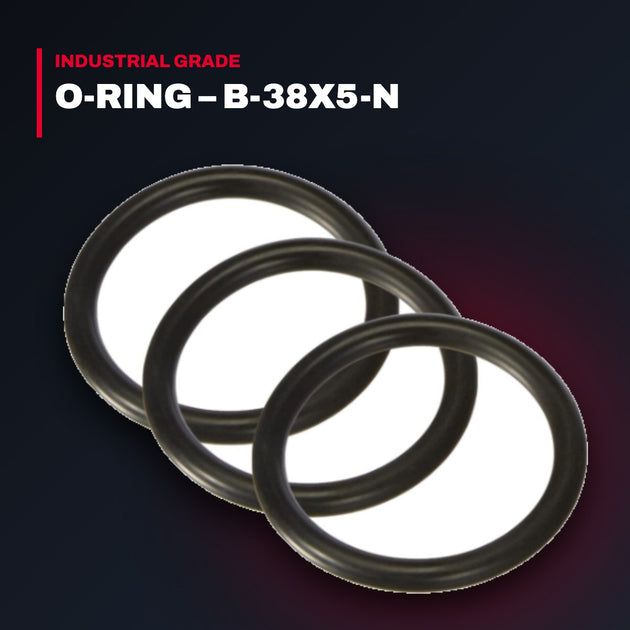 Voith – O-Ring, B-38X5-N
