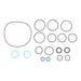 Voith – O-Ring, B-216X4-N