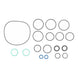 Voith – O-Ring, B-216X4-N