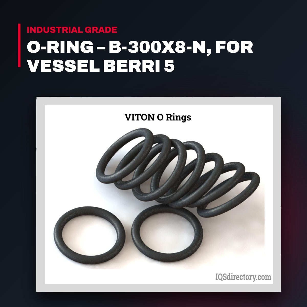 Voith OTHERS – O-Ring – B-300X8-N, For Vessel Berri 5