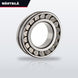 Wärtsilä 5000600957 – Bearing Roller – Spherical, Double Row Type