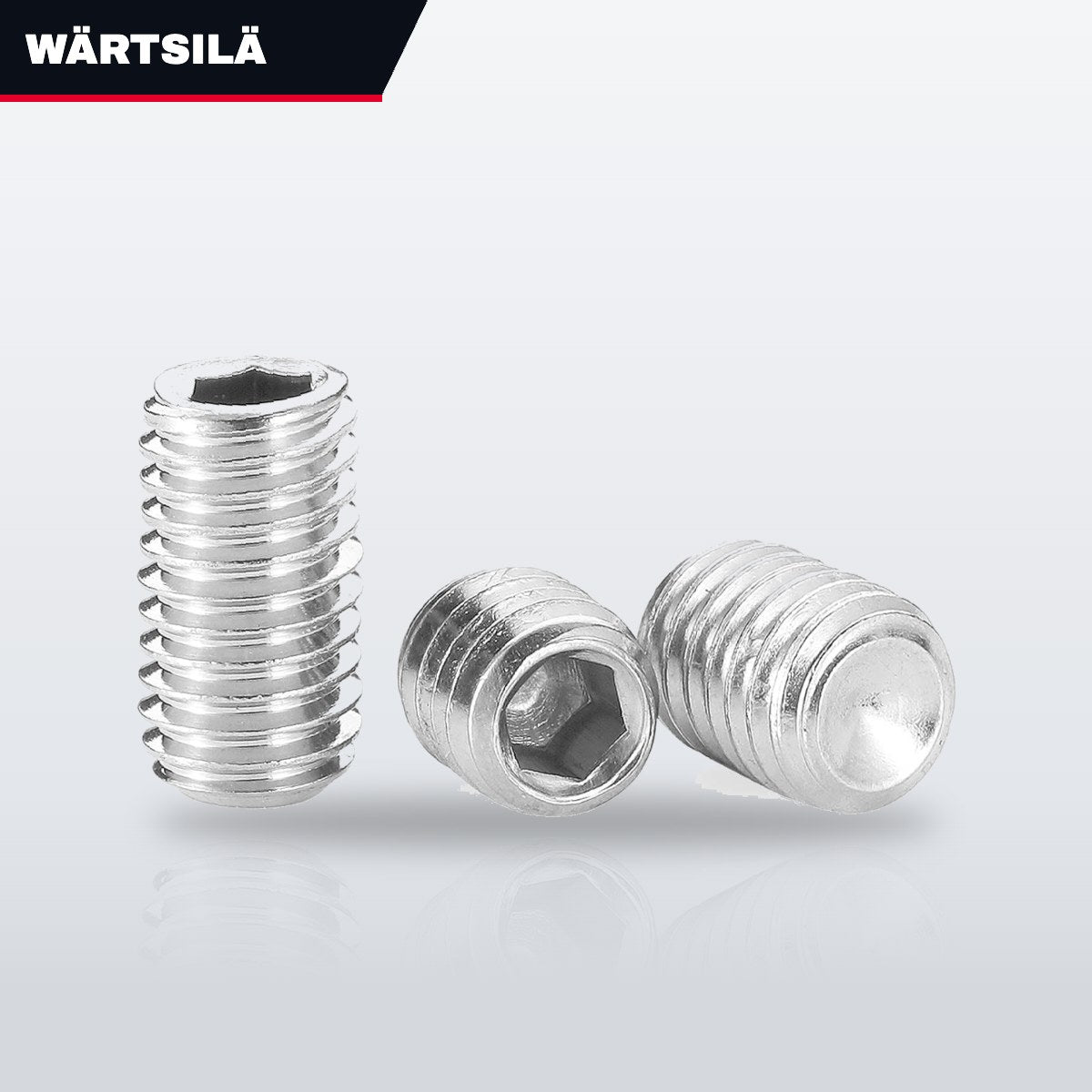 Wärtsilä – Cap Screw, Hex.Socket Set Point Head