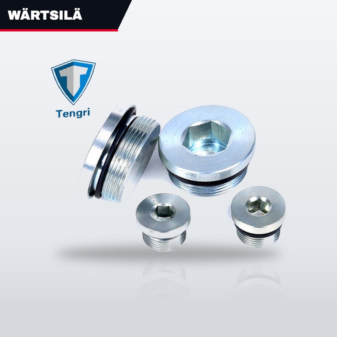Wärtsilä – Hexagon Head Screw Plug