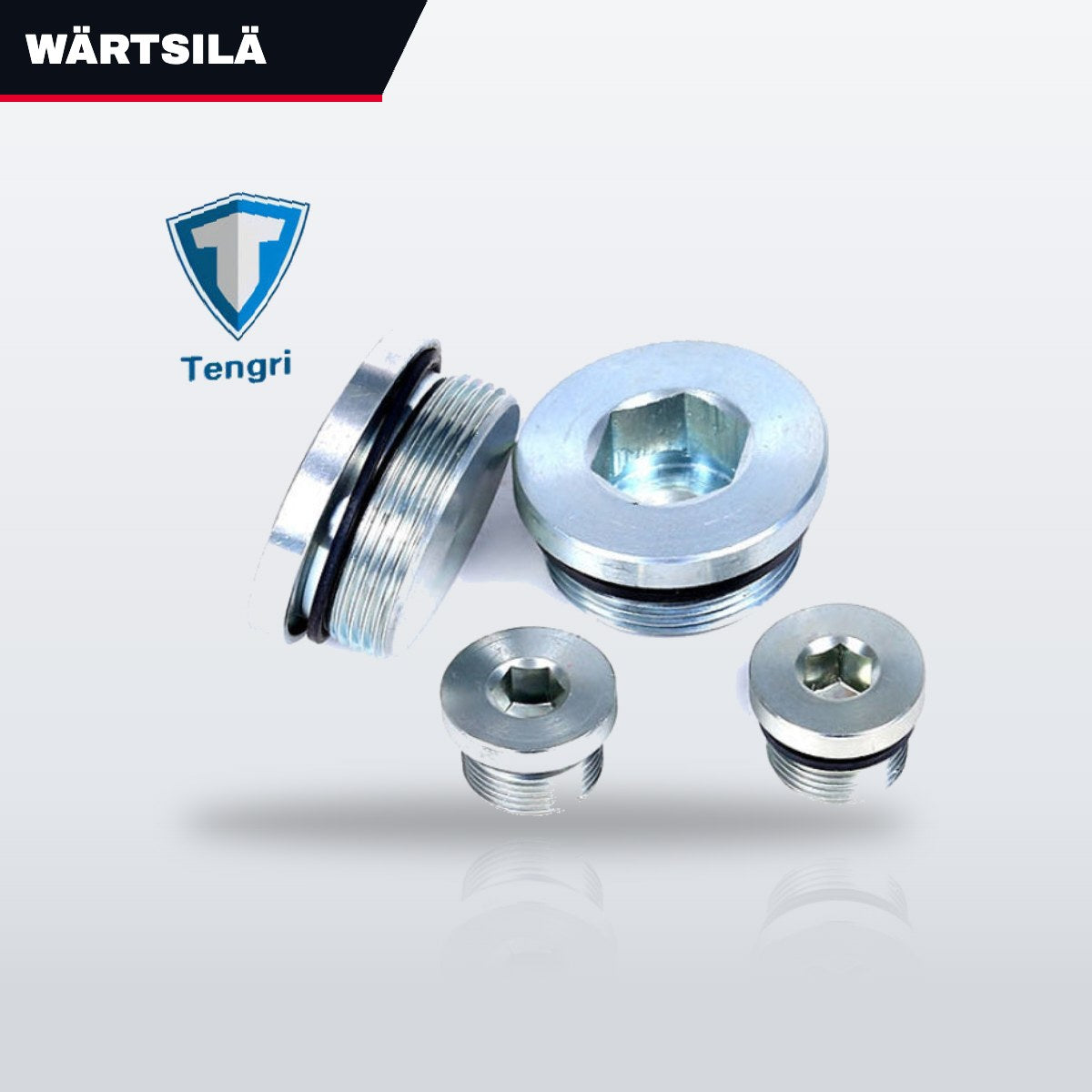 Wärtsilä – Hexagon Head Screw Plug